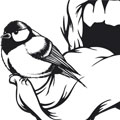 BIRDTHUMB